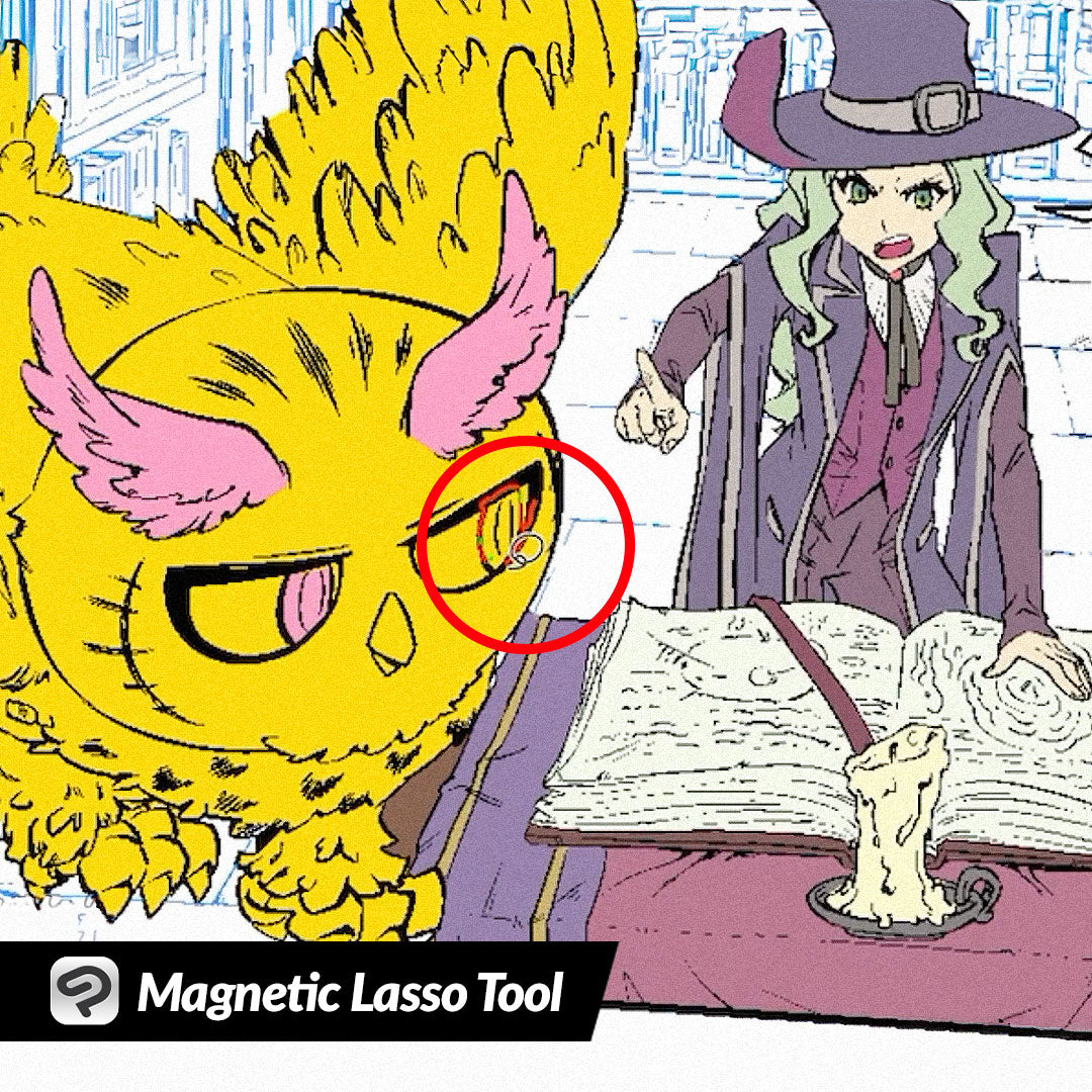 Magnetic Lasso Tool