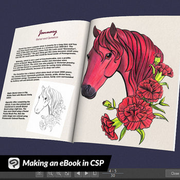 Making an eBook in CSP