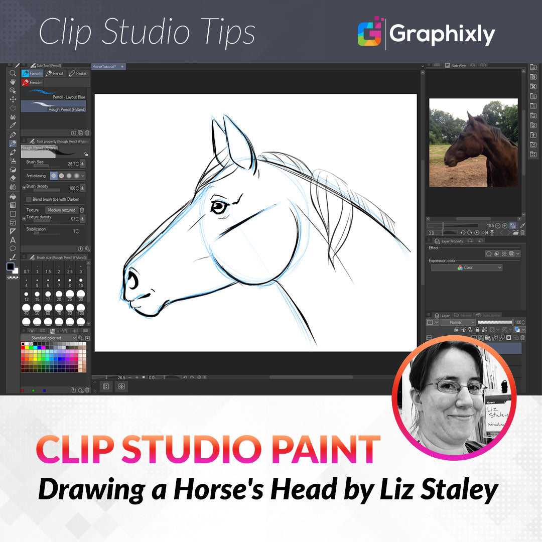 Drawing a Horse's Head