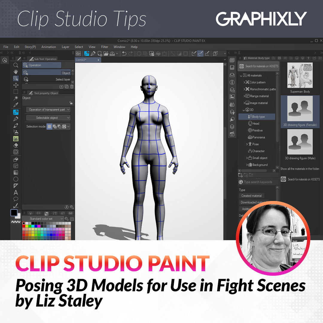 Posing 3D Models for Use in Fight Scenes